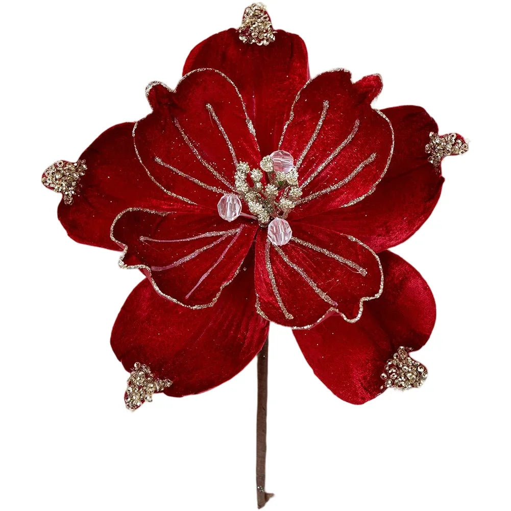 Red poinsettia photo